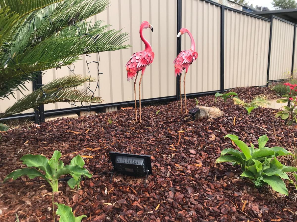 Leichhardt Motor Inn Toowoomba Luaran gambar